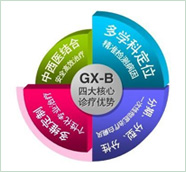 GX-B（高新�白） 白癜风康复工程四大优势